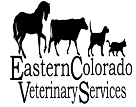 Eastern Colorado Veterinary Services